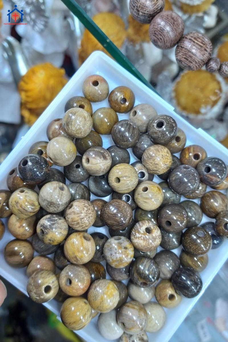Tràng hạt gỗ hóa thạch